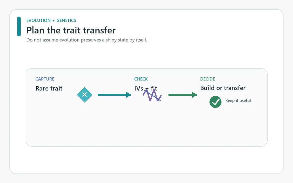 Schéma pour vérifier les IV et le rôle d'un shiny avant de l'entraîner ou de transférer son trait.